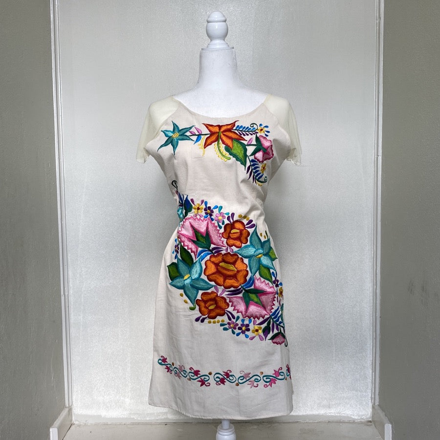 Natalia's Dress (Size US S)