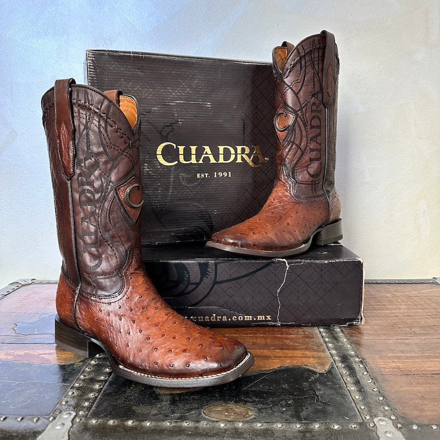 Cuadra Mens Ostrich Belly Moroni Castaño 3Z1OA1
