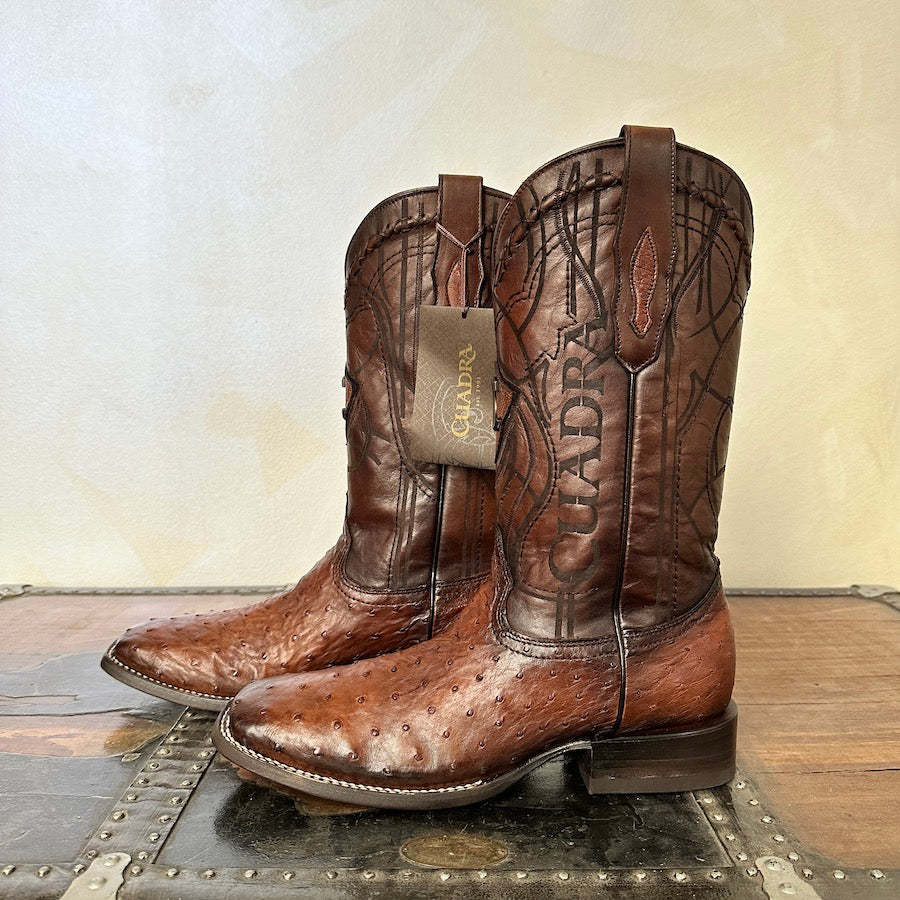 Cuadra Mens Ostrich Belly Moroni Castaño 3Z1OA1