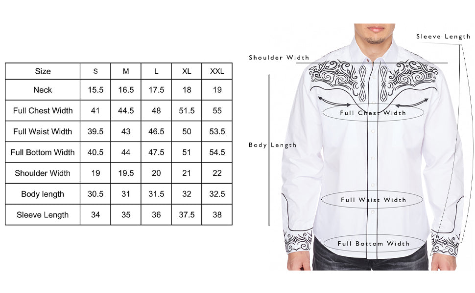 Wild Rider Mens Western Shirt